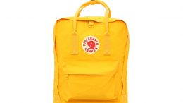 2020 BAYAN SIRT ÇANTA MODELLERİ