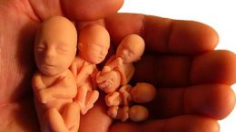 2020 Kürtaj Fiyatları