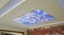 Asma Tavan Modelleri 2020