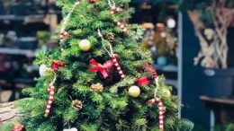 Yılbaşı Ev Süsleri