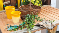 Sprey Boya ile Hasır Sepet Boyama