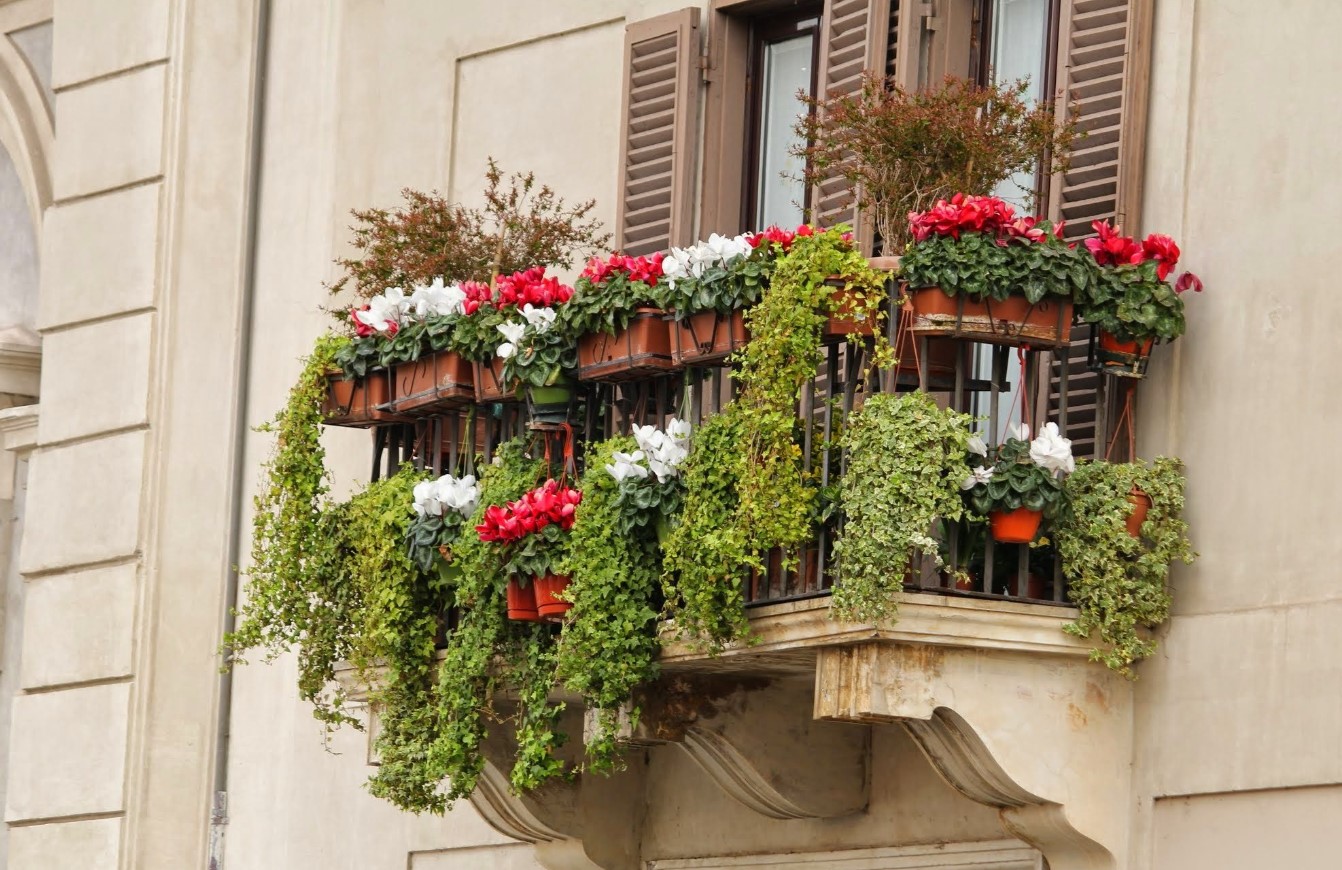 En Güzel Balkon Çiçekleri
