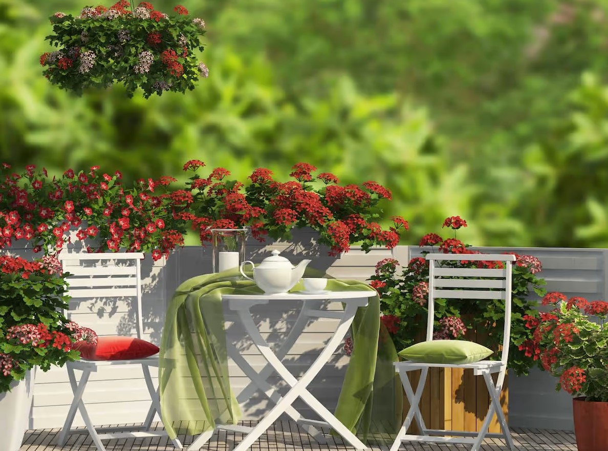 En Güzel Balkon Çiçekleri