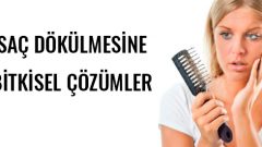 Saç Dökülmesini Önlemek İçin Bitkisel Çözümler