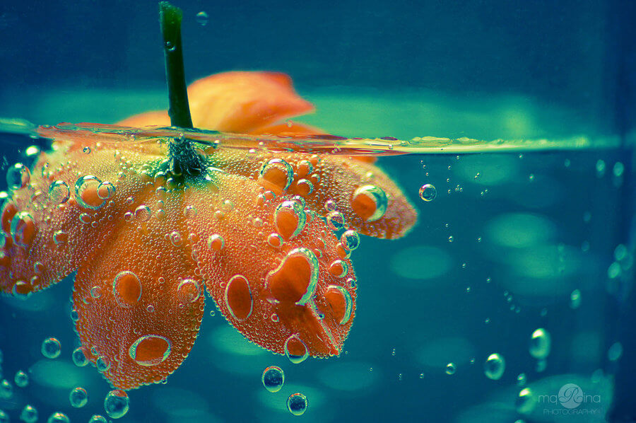 bubble-flower-by-mqrina-on-deviantart