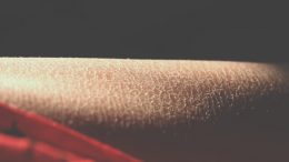 Cilt için Yumurta Akı Bal Maskesi