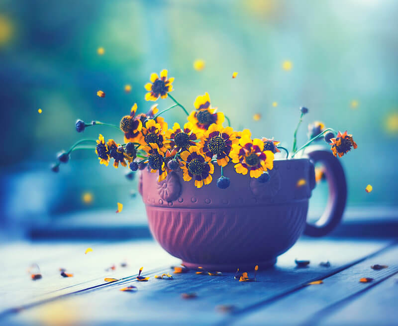 cup-of-spring-happy-everyday-by-arefin03-on-deviantart